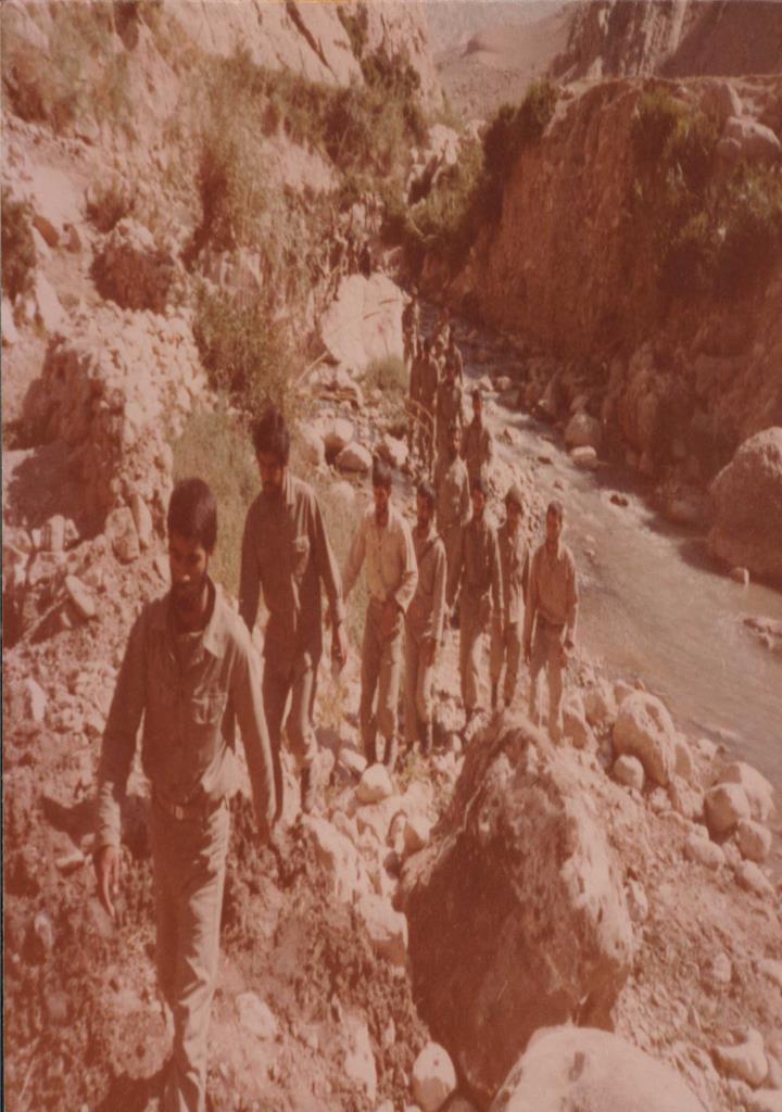 فاقد تصویر